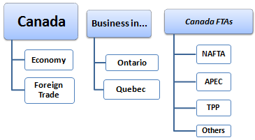 Corso Master: Commercio estero e affari in Canada