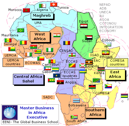 Corso Master: Commercio estero e affari in Africa (online)